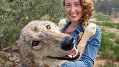 Hanna Tebelmann spricht in Kärnten über die neuesten Forschungserkenntnisse zum Thema „Genetik und V erhalten beim Hund“. © Mammalia