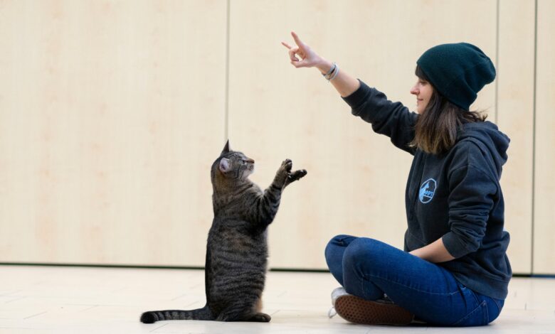 © Pawsitive Pet Training