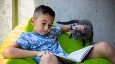 Lautes Vorlesen entspannt die TiKo Katzen © TiKo_Nina Zesar