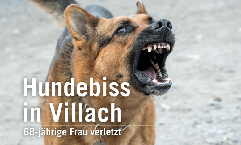 Hundebiss in Villach